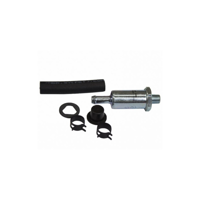Filtre à essence carburateur 2 corps V8 260/289/302