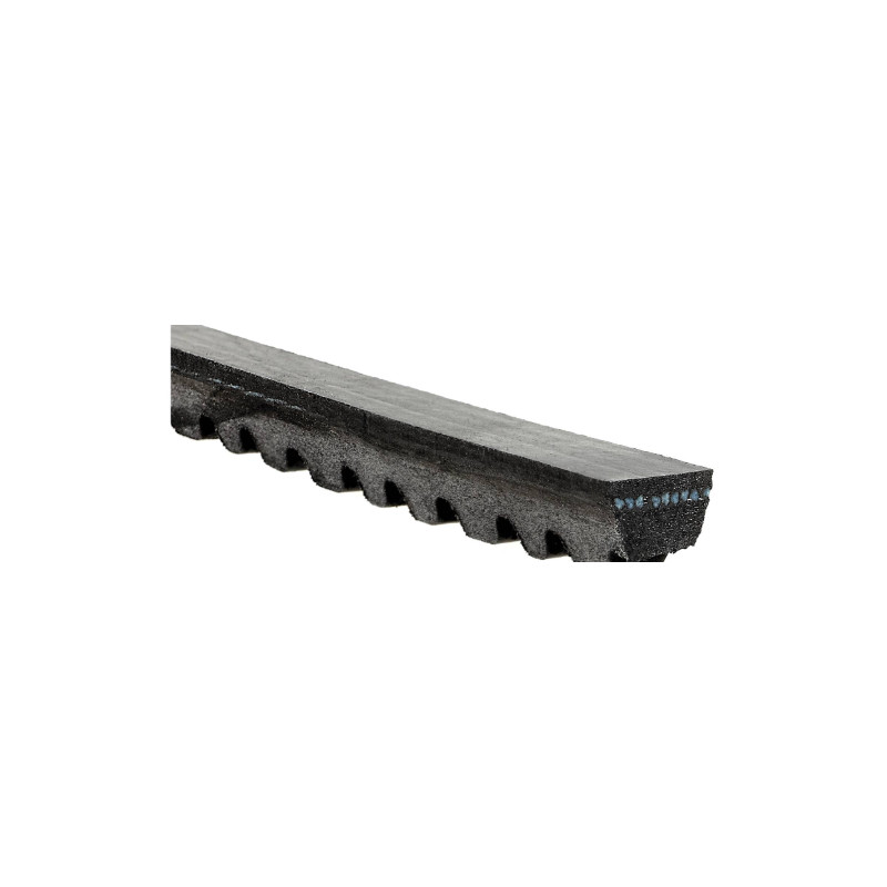 Courroie trapézoïdale  -  116.9 cm