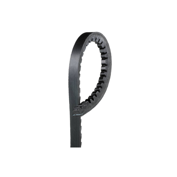 Courroie trapézoïdale  -  116.9 cm