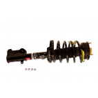 Amortisseur pour V8 - 4.6 l et V6 - 4.0 L Mustang 05 à 2010