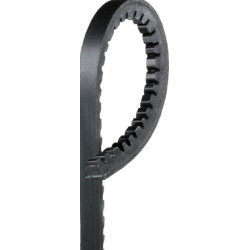 Courroie d'alternateur 10mm x 1003 mm