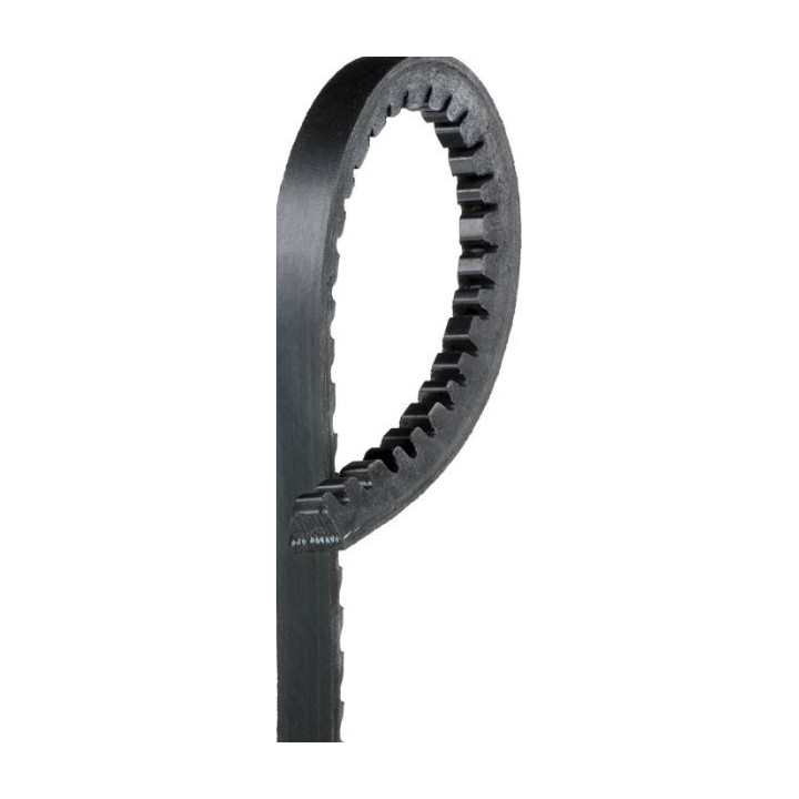 Courroie d'alternateur 10mm x 1003 mm