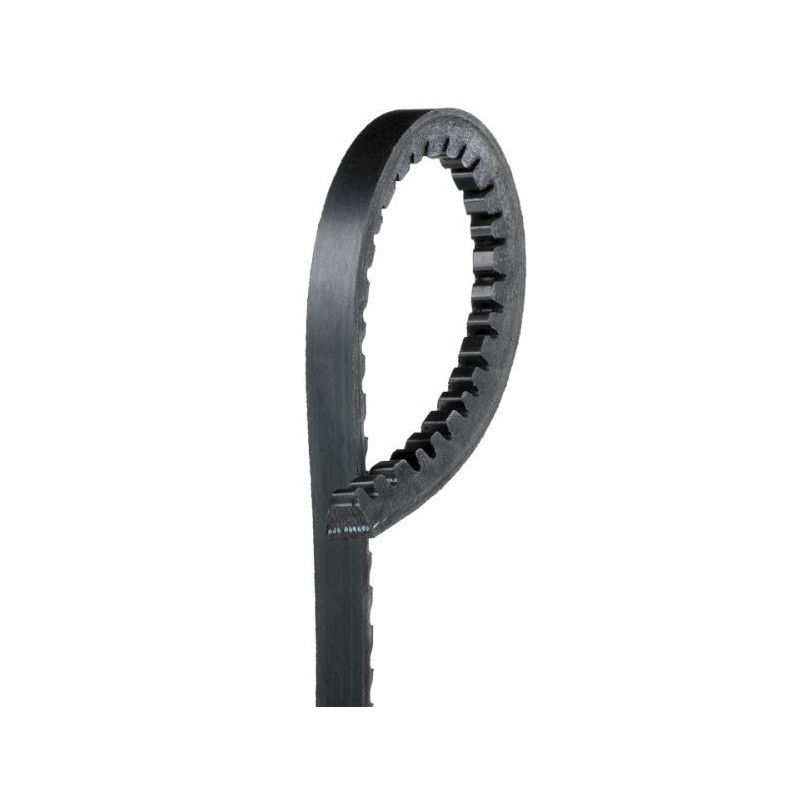 Courroie d'accessoire 10x1120mm