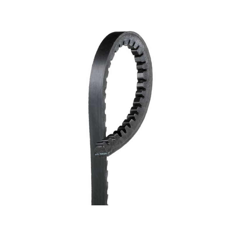 Courroie d'accessoire 10x855mm