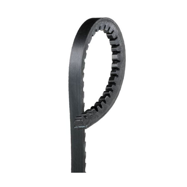 Courroie d'accessoire 10x855mm