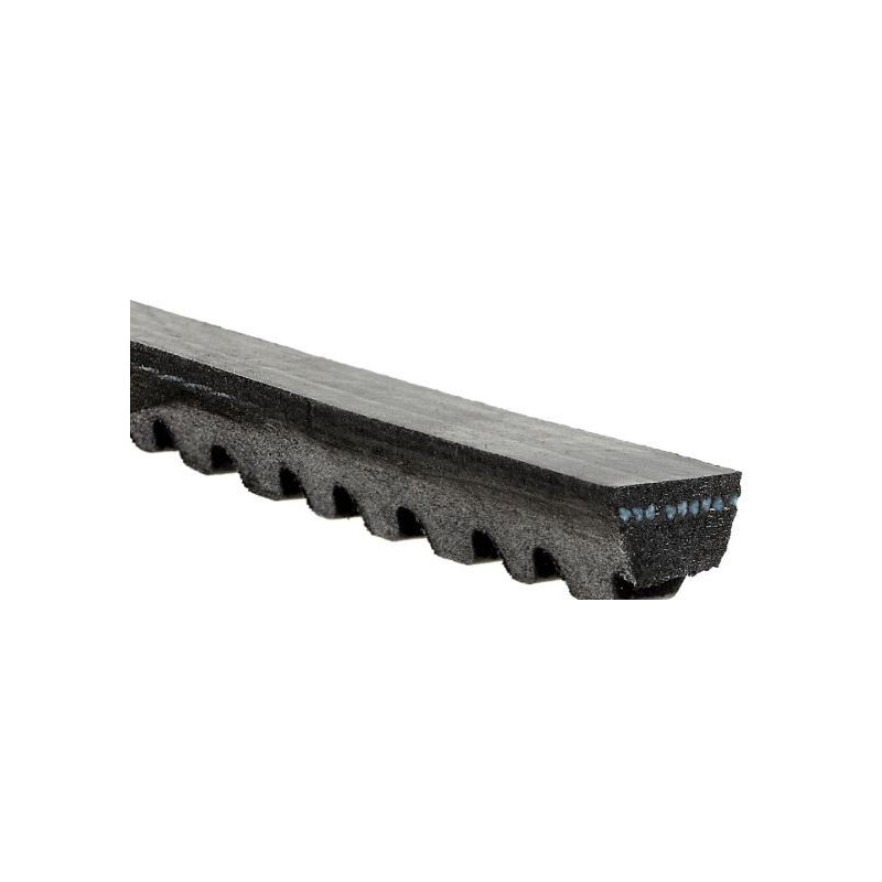 Courroie d'accessoire 10x855mm